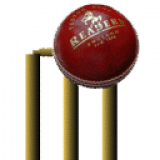 Cricket 3D