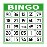 Bingo Caller